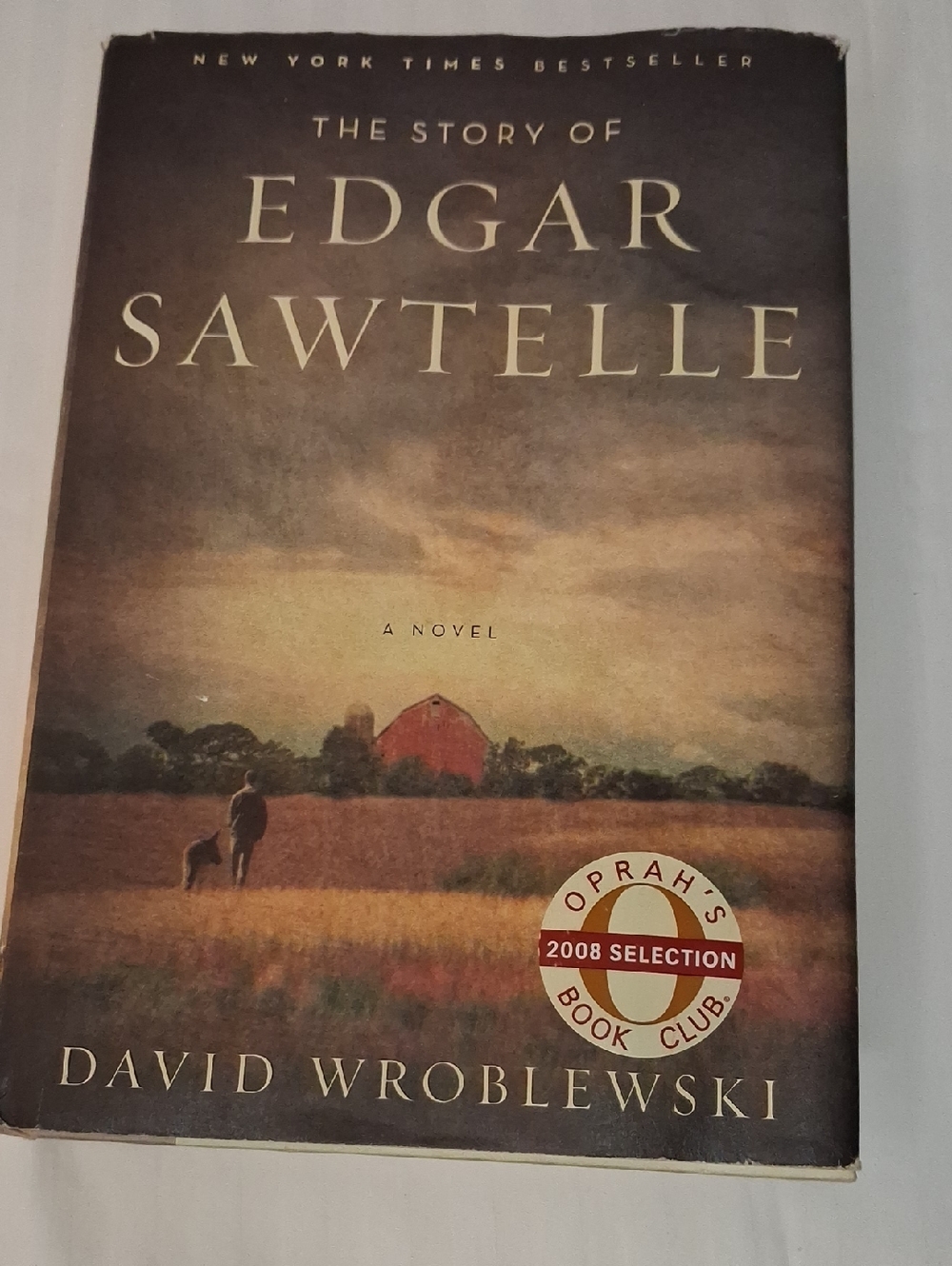 The Story of Edgar Sawtelle - Brown Book Cover by David Wroblewski